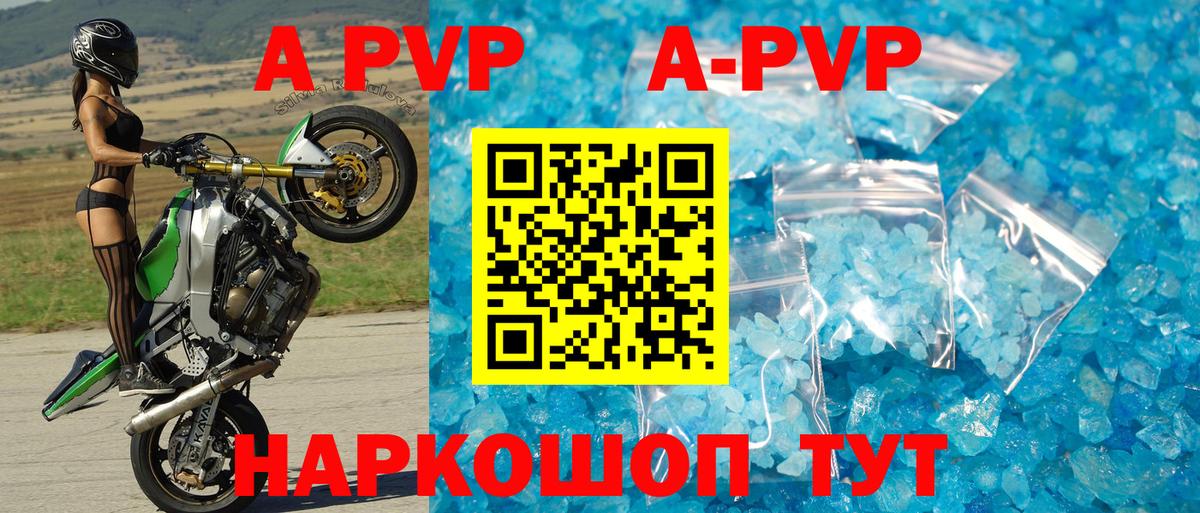 A PVP СК  Нижневартовск  A PVP VHQ 