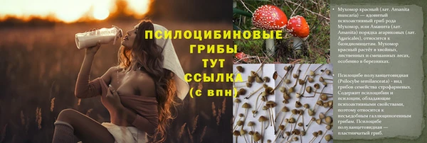 прущая мука Коряжма