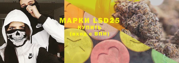 индика Костерёво
