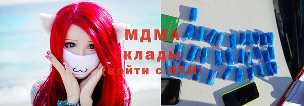индика Костерёво