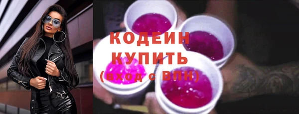 индика Костерёво