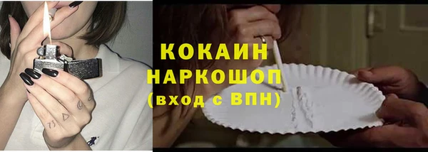 индика Костерёво