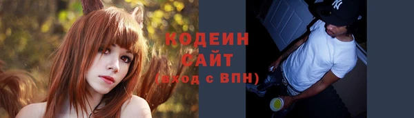 индика Костерёво