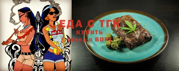индика Костерёво