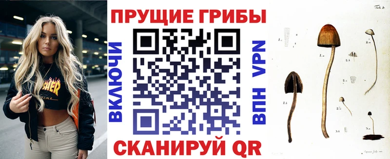 Галлюциногенные грибы прущие грибы  купить наркотики цена  Нижневартовск 
