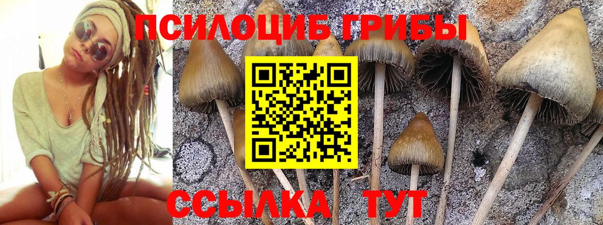 Псилоцибиновые грибы Psilocybine cubensis Нижневартовск